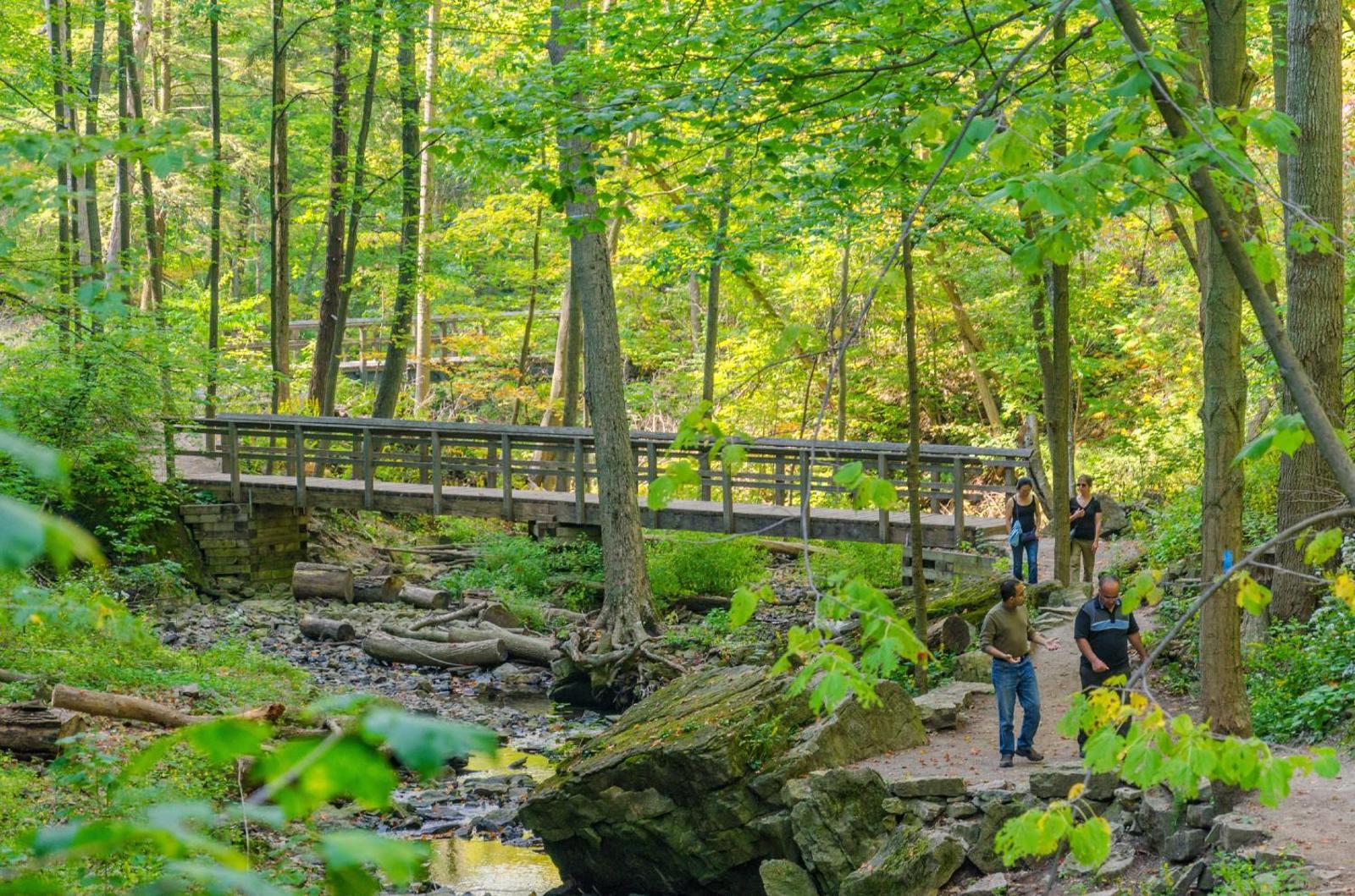 Staybridge Suites Hamilton - Downtown